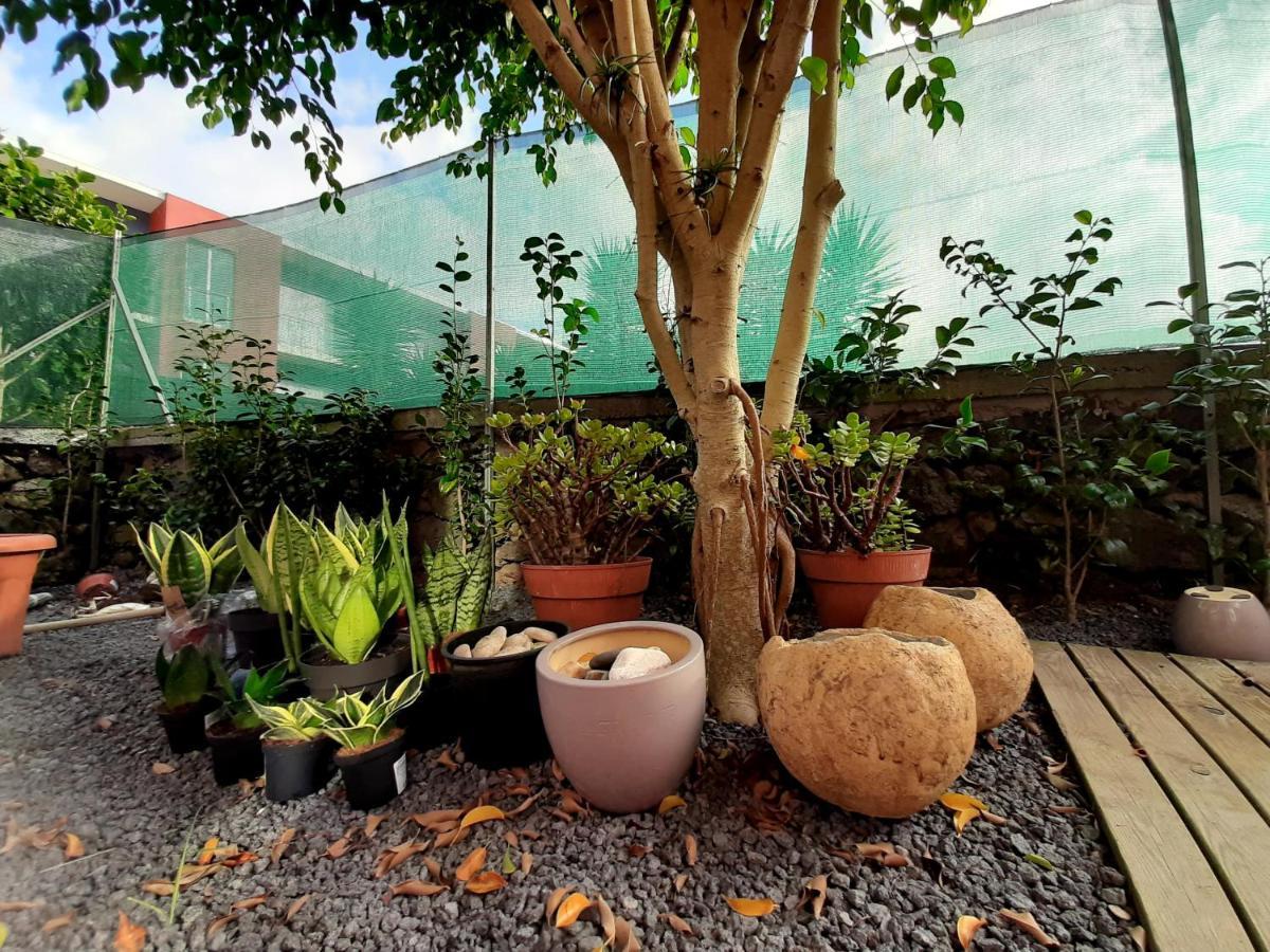 كابيلاس Casa Das Yucas - Patio Apartment المظهر الخارجي الصورة