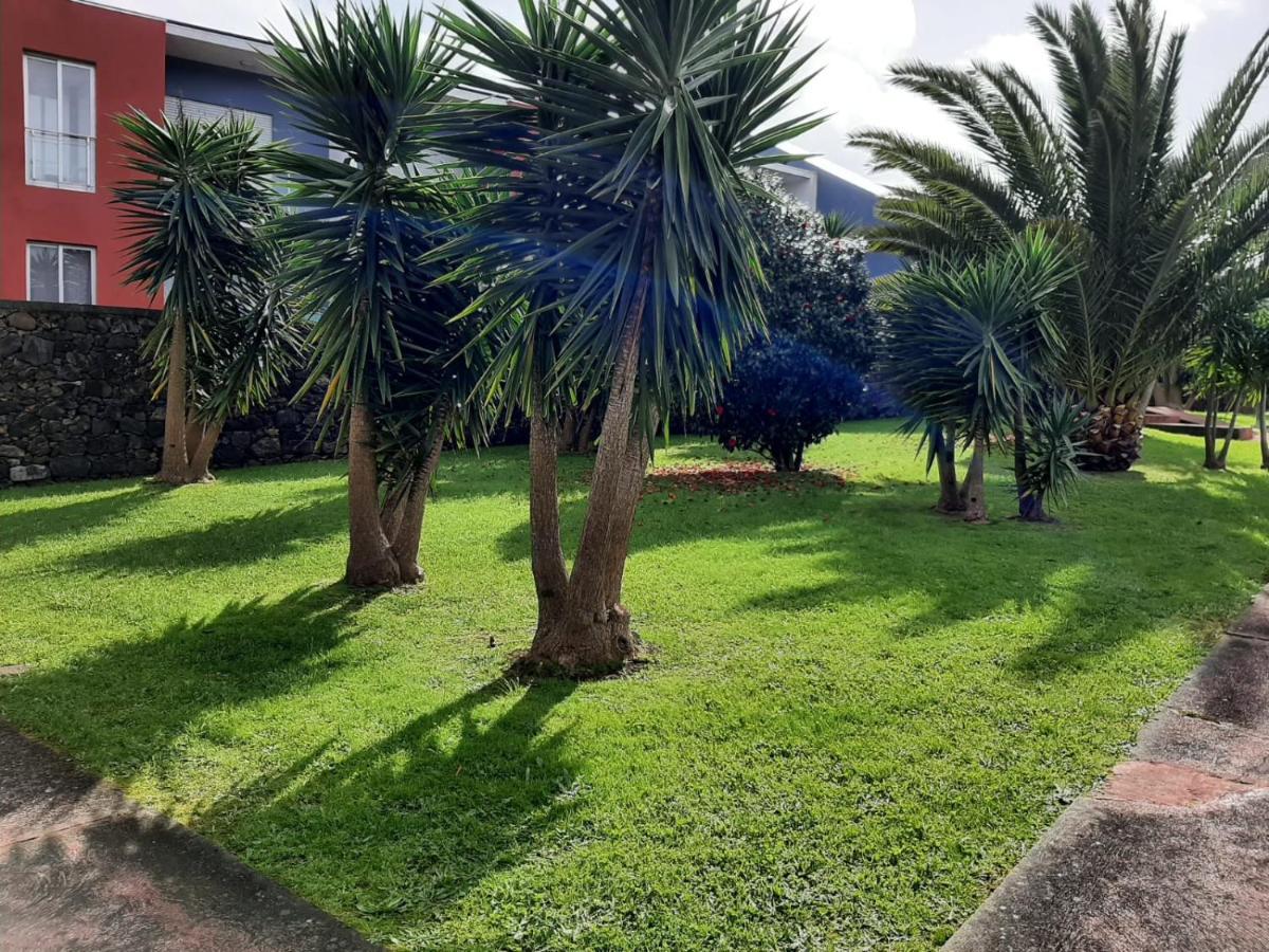 كابيلاس Casa Das Yucas - Patio Apartment المظهر الخارجي الصورة
